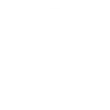 premiereads-seo-professional-icon